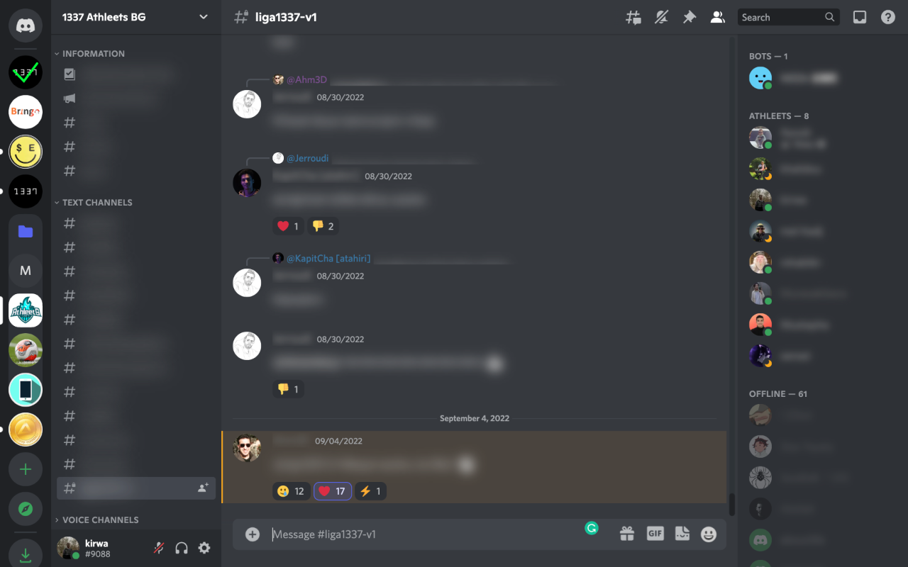 Discord Blur - 截图 2