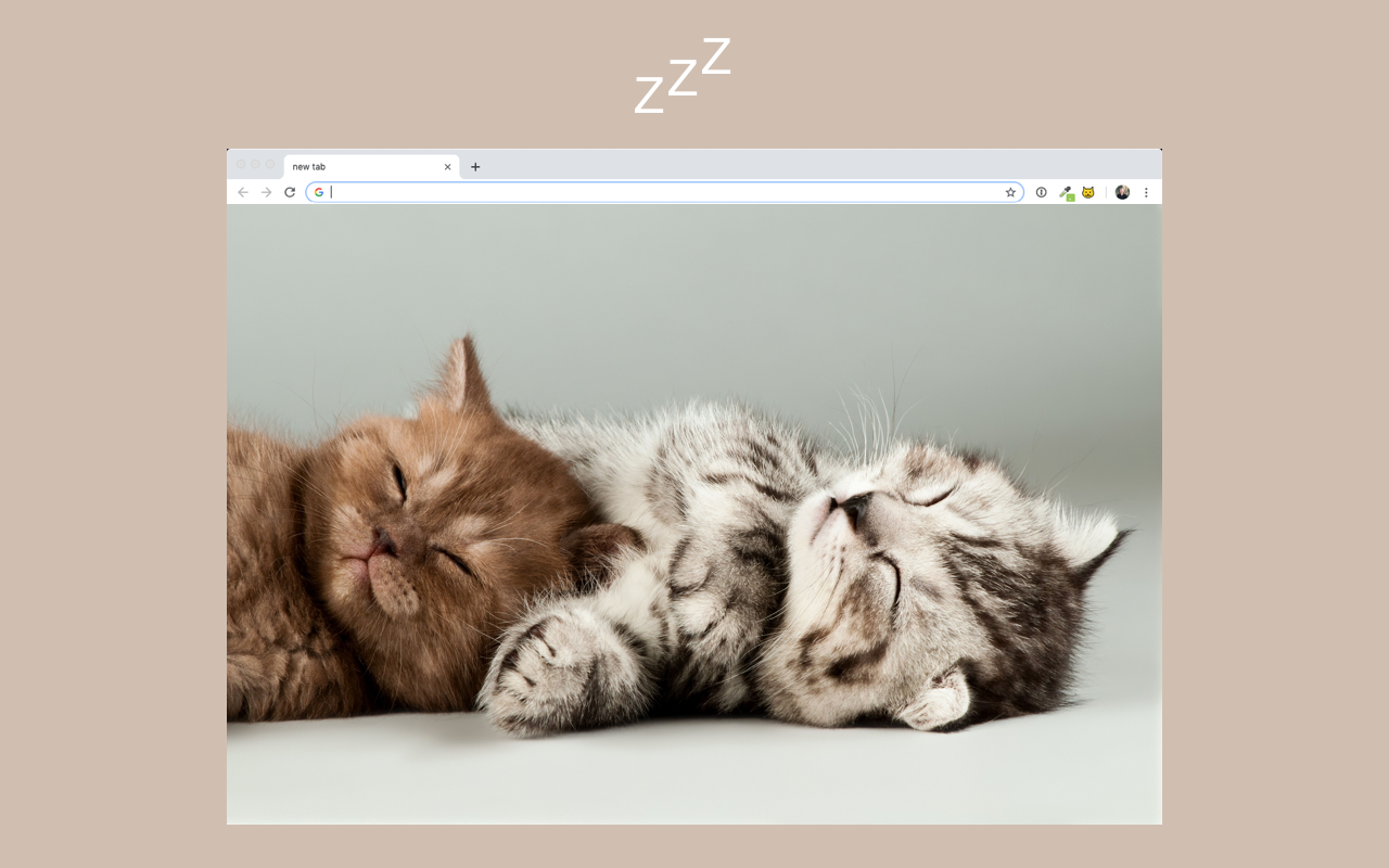 Meow Meow Woof - 截图 4