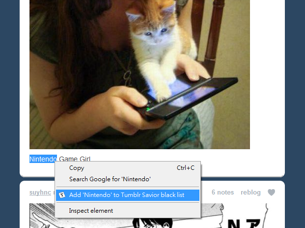 Tumblr Savior - 截图 3