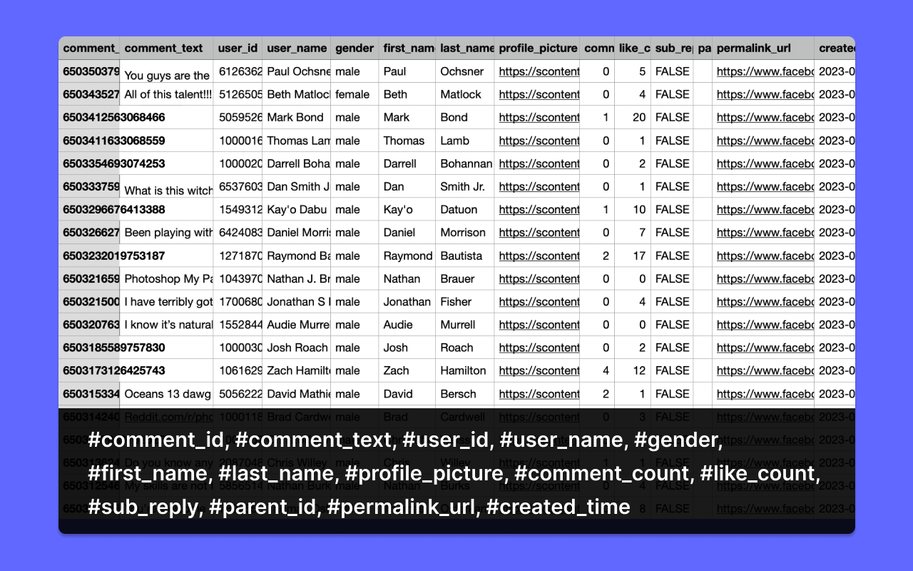 CommentExp - Scrape Comments - 截图 2