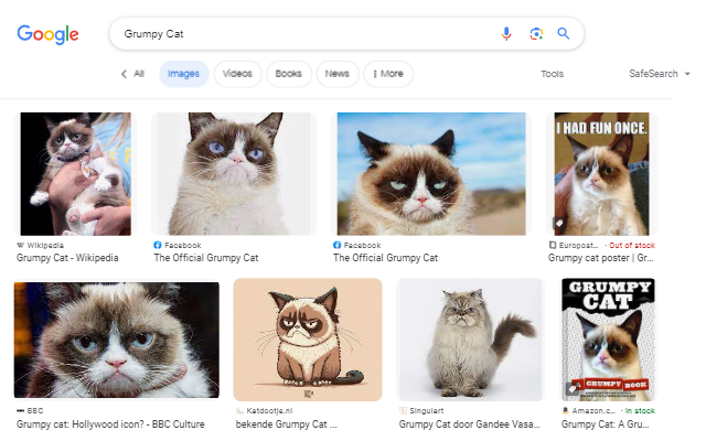 Quick Image Search - 截图 1