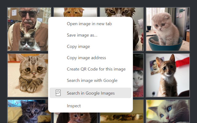 Quick Image Search - 截图 5