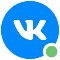 VK Online Check