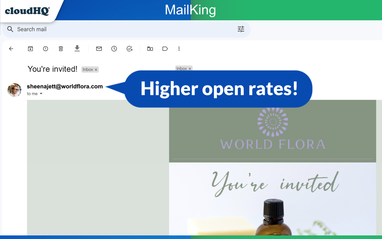 MailKing: Email Campaigns in Gmail by cloudHQ - 截图 4