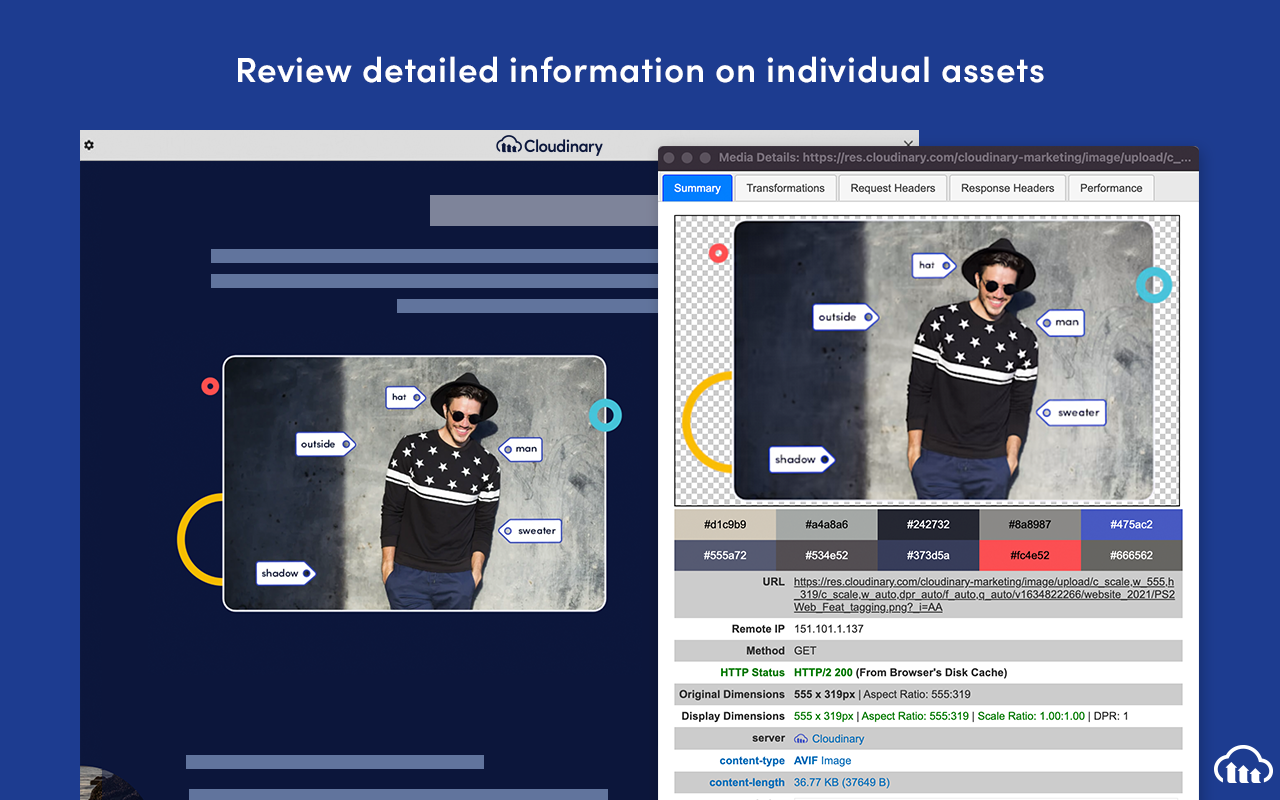 Cloudinary Media Inspector - 截图 4