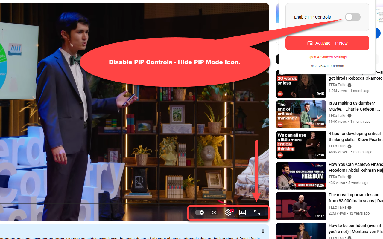 YouTube PiP Pro - 截图 1
