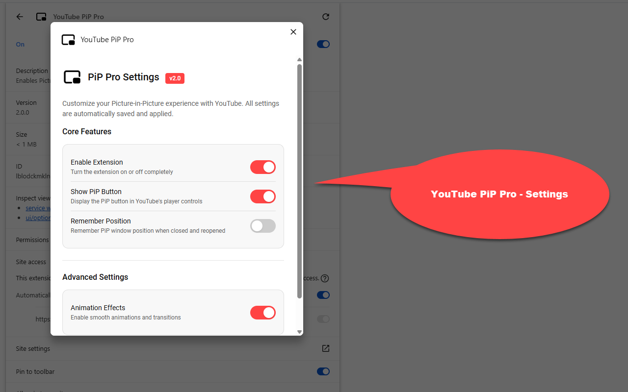 YouTube PiP Pro - 截图 2