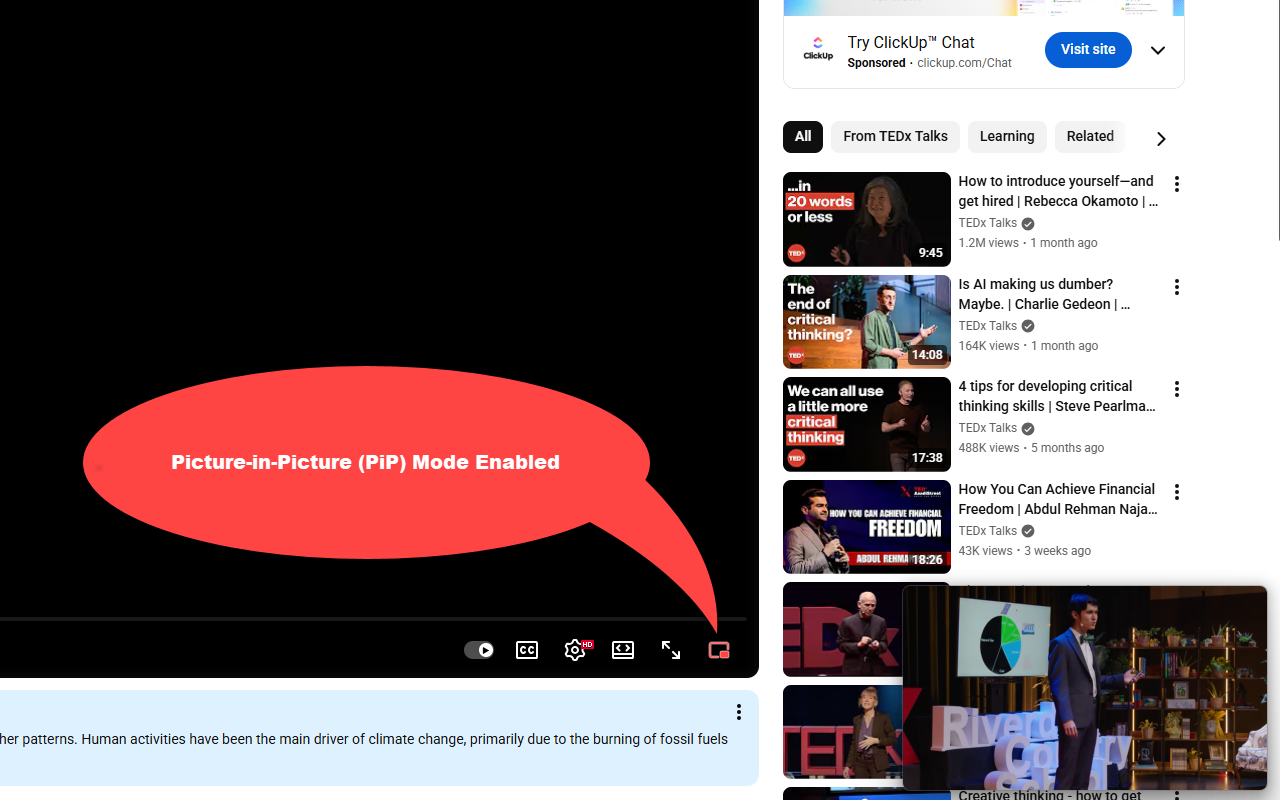 YouTube PiP Pro - 截图 4