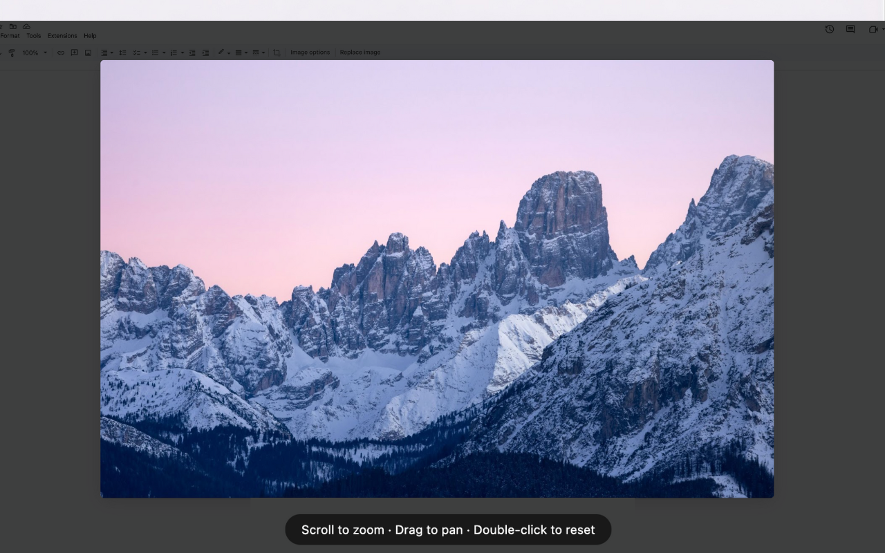 Google Docs Image Downloader, Extractor & Zoom - 截图 3