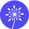 Email Finder - CUFinder