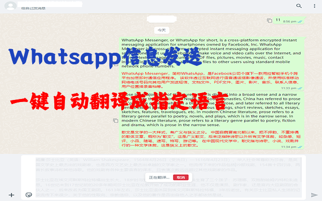 AHi WhatsApp翻译[AI版] - 截图 2