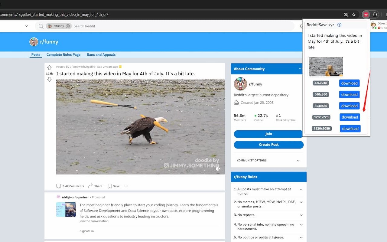 Reddit Video Save - 截图 2