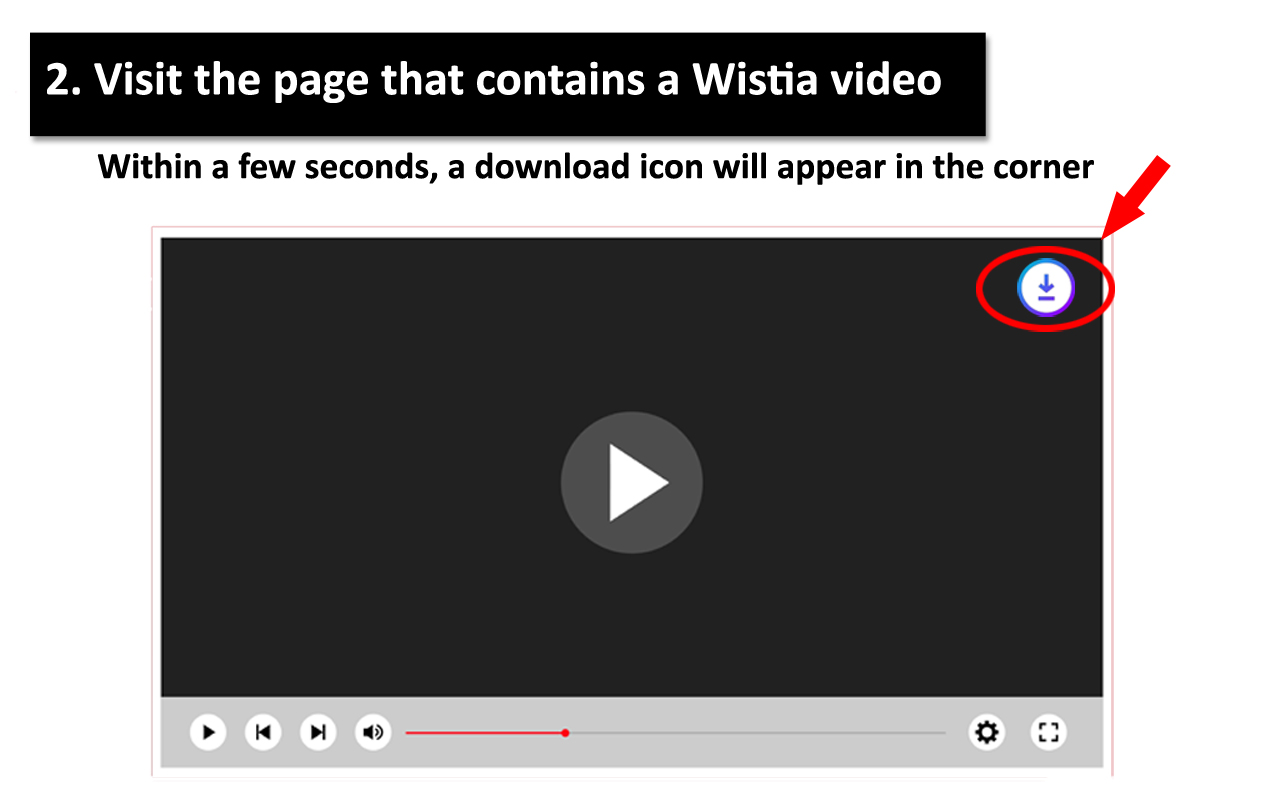Wistia Video Downloader Plus - 截图 2