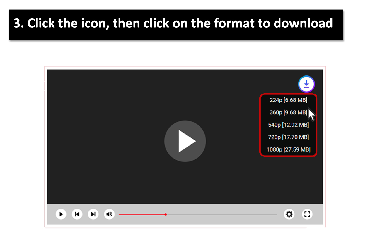Wistia Video Downloader Plus - 截图 4