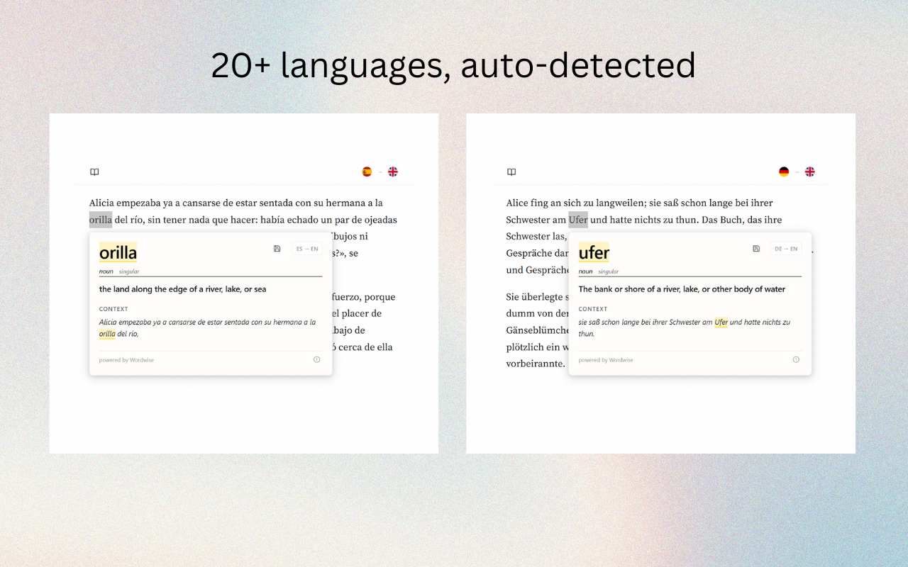 Anki Dictionary - 截图 2