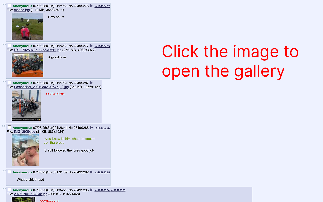 4chan Max – Image/video gallery, scroll buttons and useful tweaks for 4chan - 截图 2
