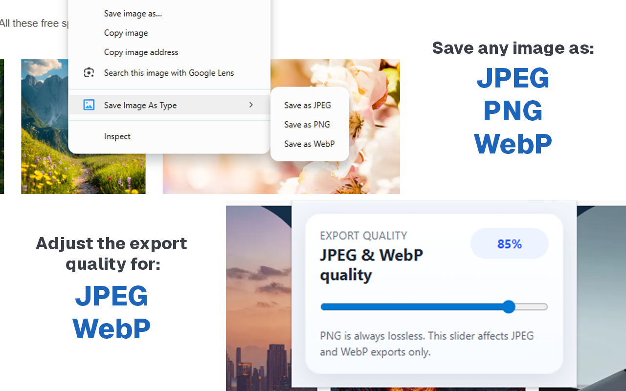 Save Image As Type - 截图 2
