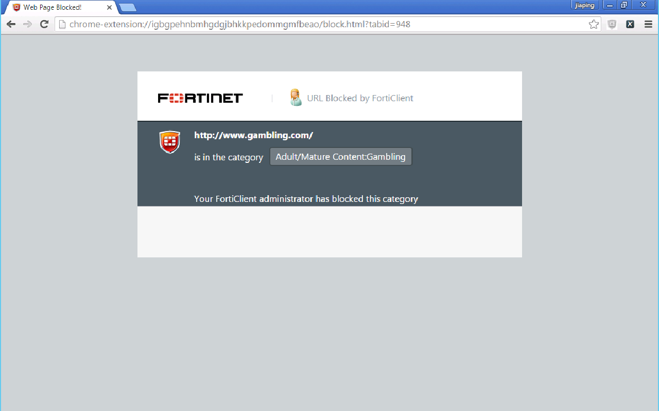 FortiClient Chromebook Webfilter Extension - 截图 4