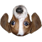 FrankerFaceZ Nightly