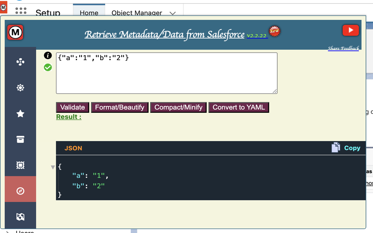 Retrieve Metadata/Data from Salesforce - 截图 1