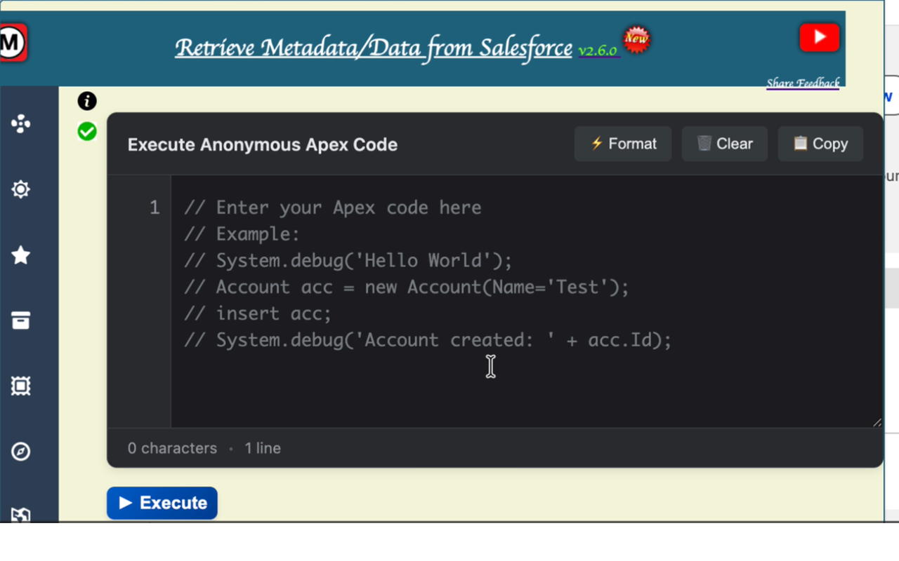 Retrieve Metadata/Data from Salesforce - 截图 4