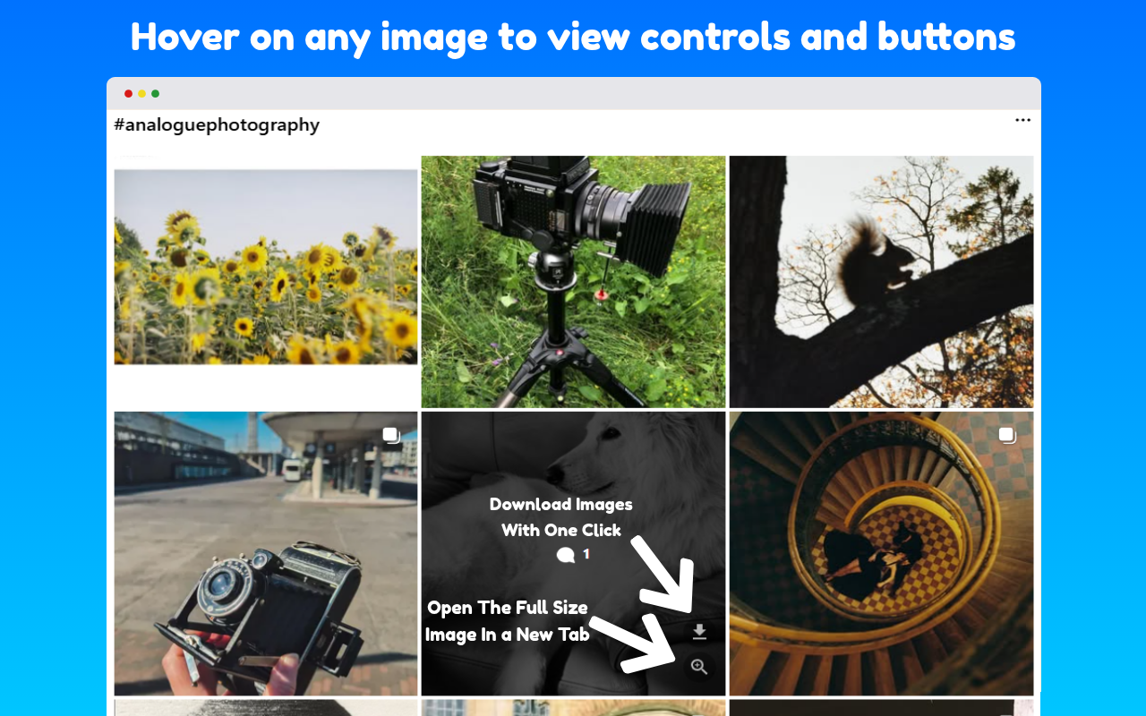 Instagram Media Controls (For Videos,Photos & Stories) - 截图 1