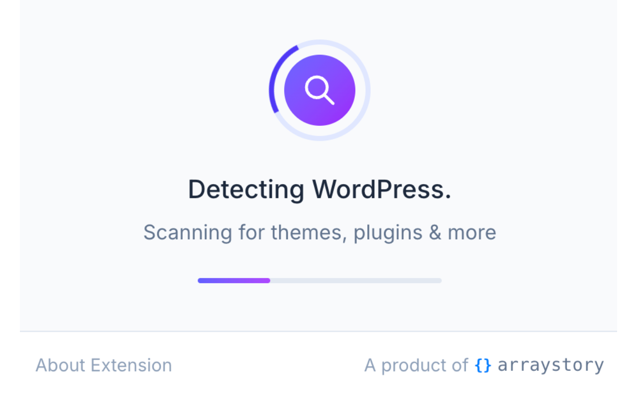 WordPress Plugin & Theme Detector - 截图 3