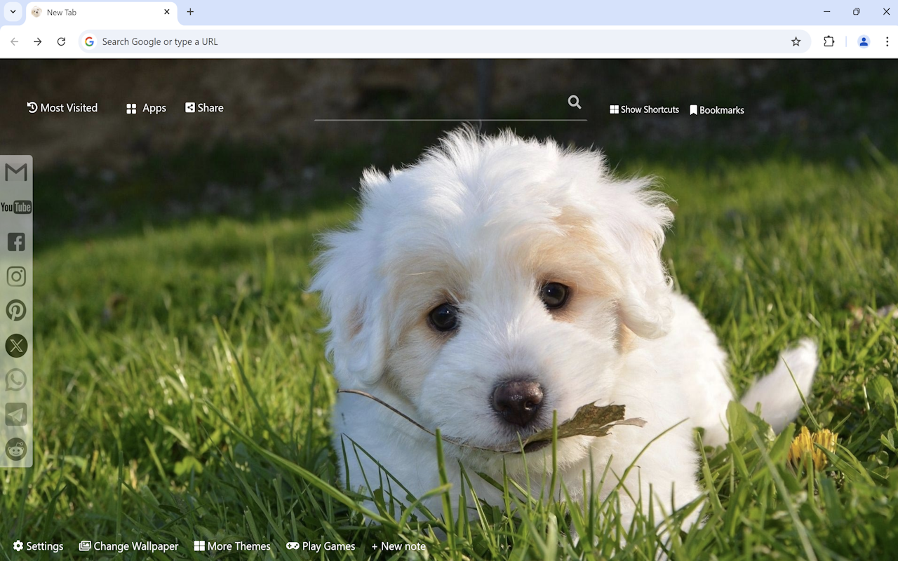 Cute Dogs & Puppies Wallpaper - 截图 3