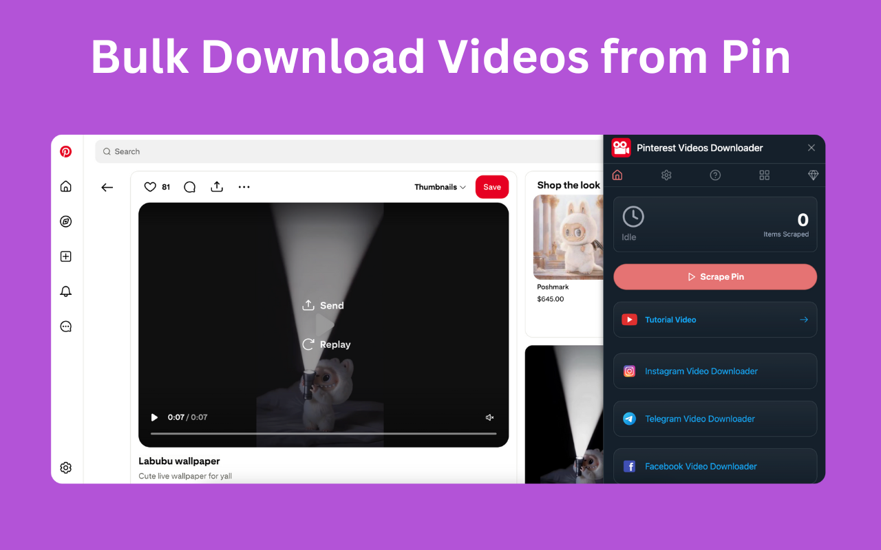 Pinterest Videos Downloader - 截图 1