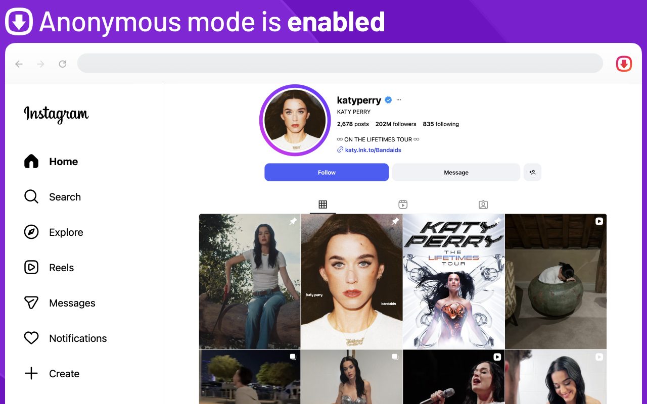 Instagram 故事查看器 - 截图 3