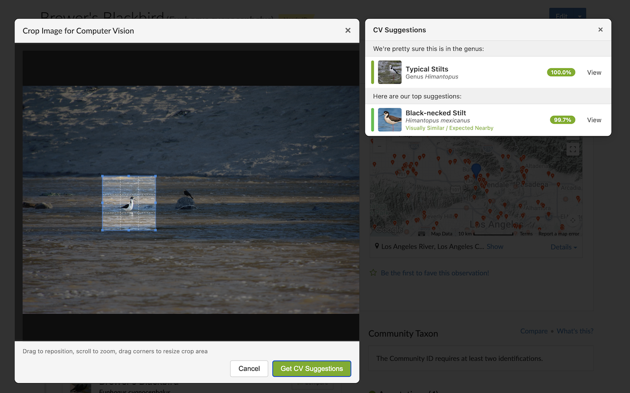 iNaturalist Enhancement Suite - 截图 3