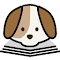 Zoopdog