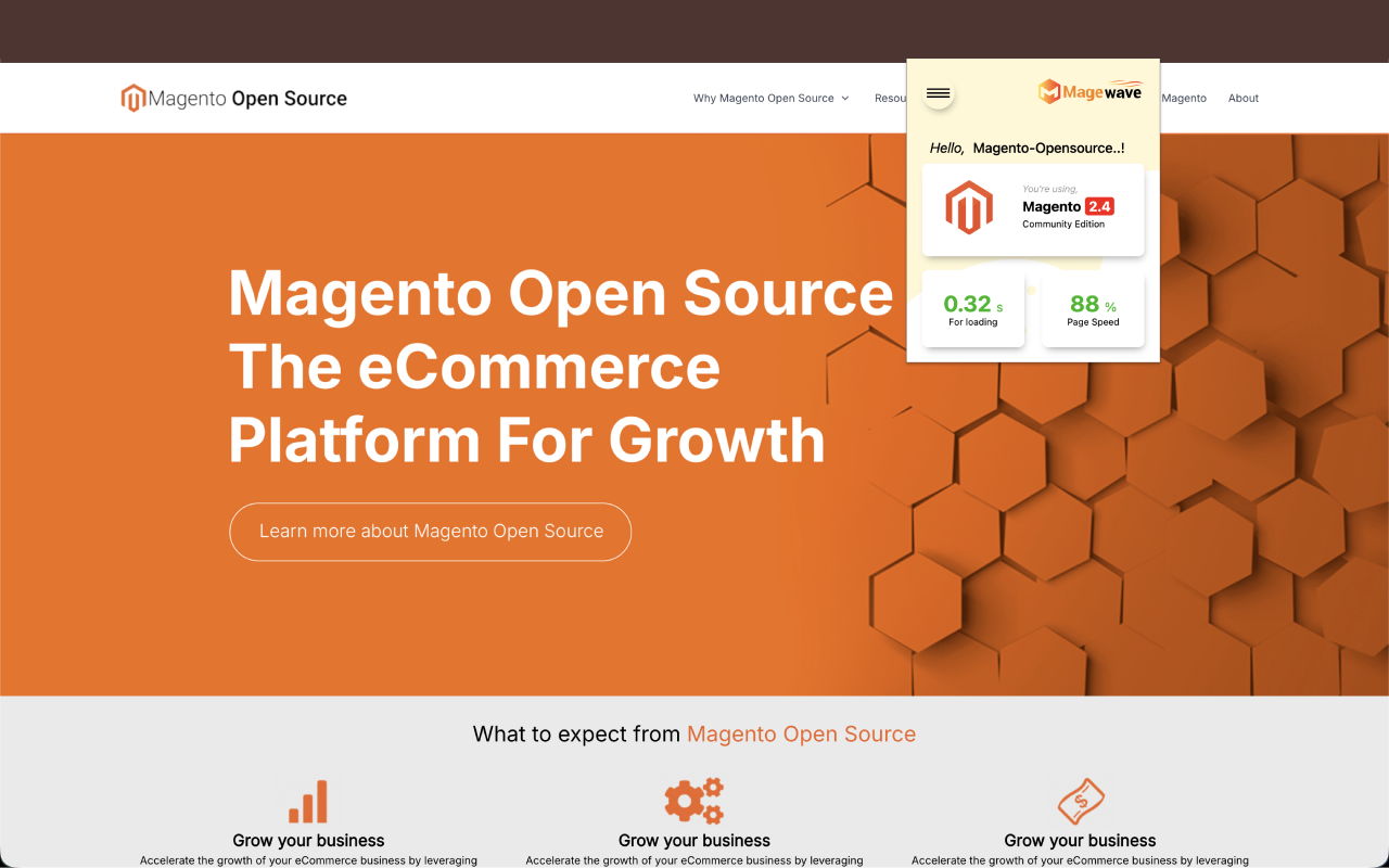 Magewave: Magento Version & Tech Stack Identifier - 截图 4