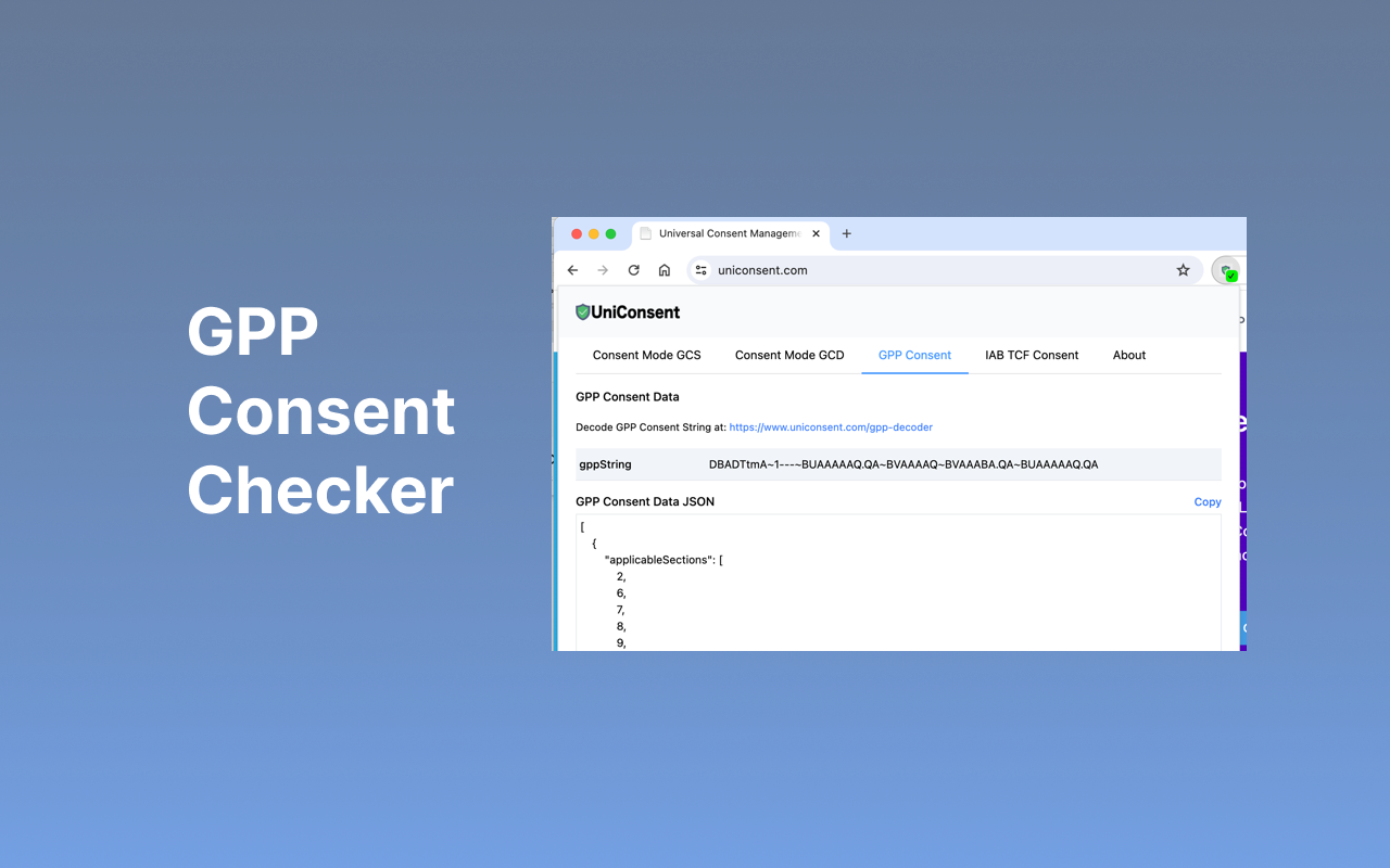Consent Data Validator - 截图 4