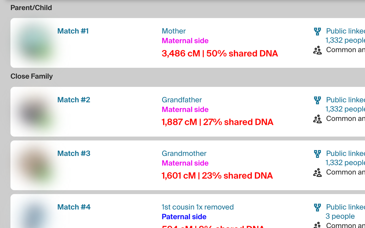 Genealogy Blurring Tool - 截图 1
