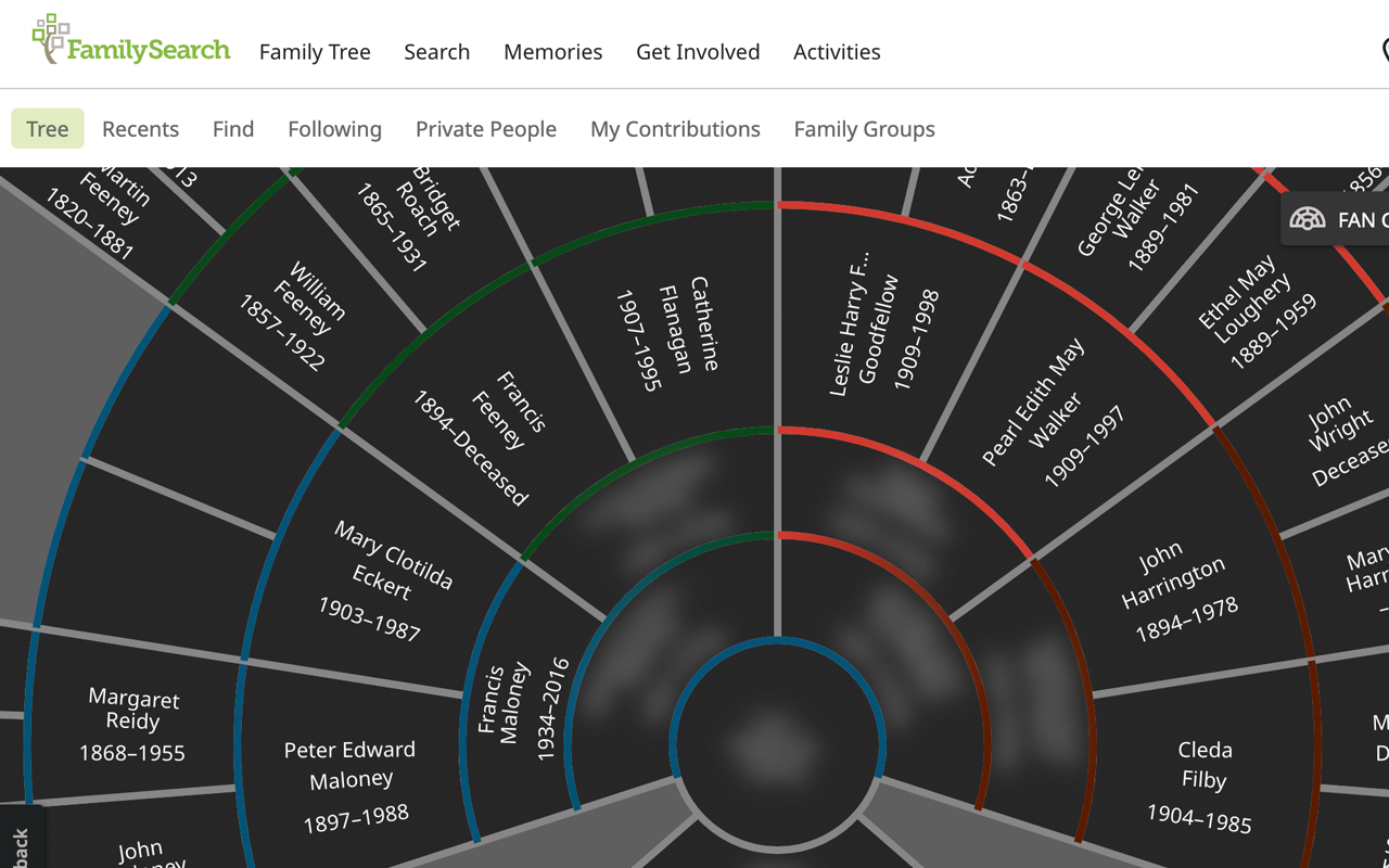 Genealogy Blurring Tool - 截图 2