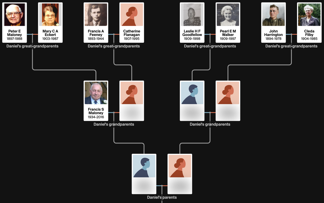 Genealogy Blurring Tool - 截图 4