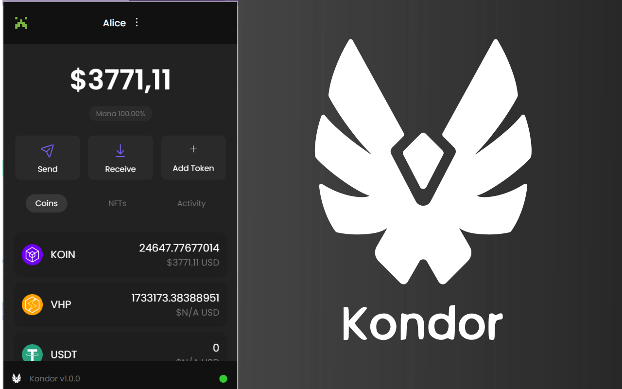 Kondor - 截图 1