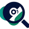 Steam Key Deal Finder