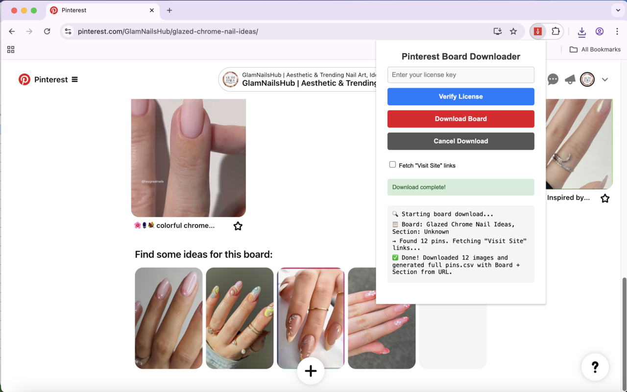 Pinterest PIN和董事会下载器 - 截图 2