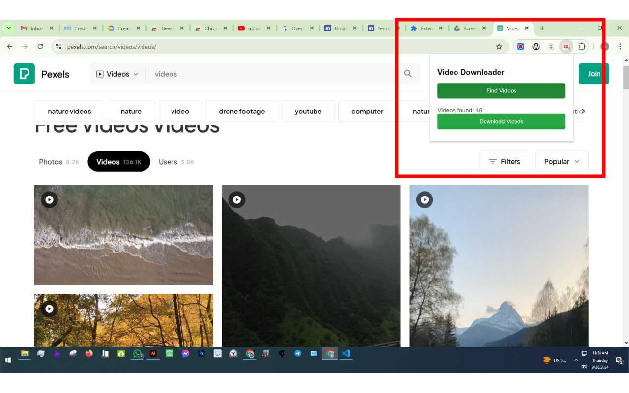 Bulk Video Downloader - 截图 2