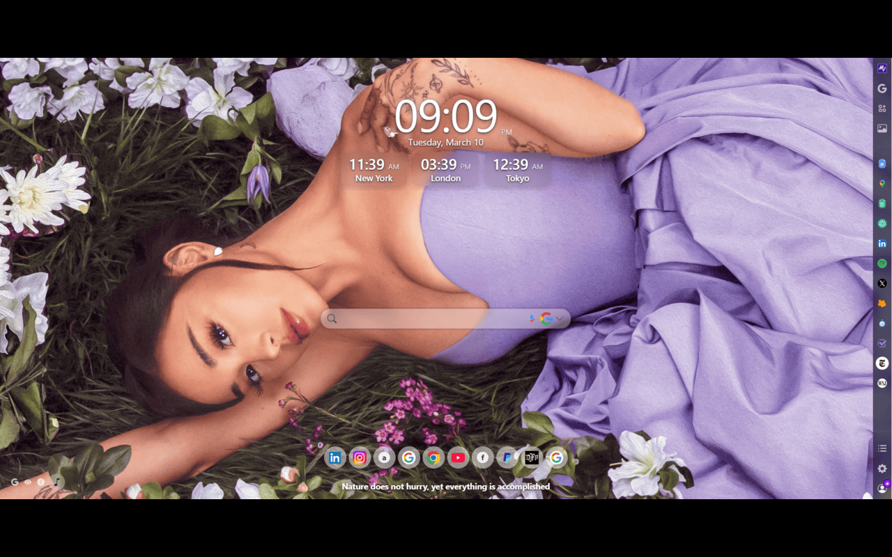 Ariana Grande MeaVana - 截图 2