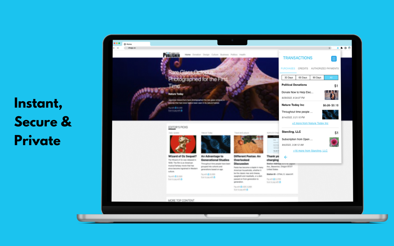 Dropp Extension - 截图 1