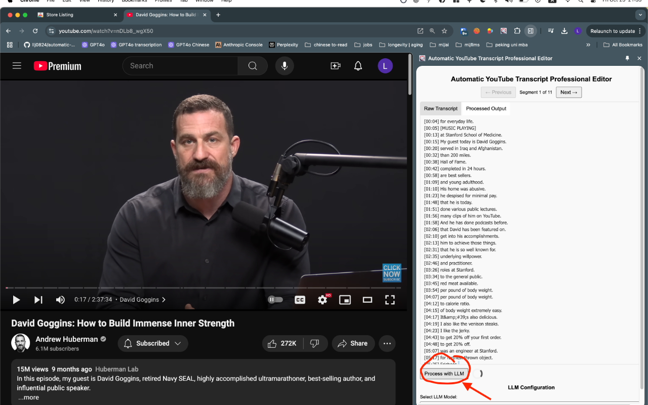 The Transcript Desk: YouTube Transcript Editor - 截图 3