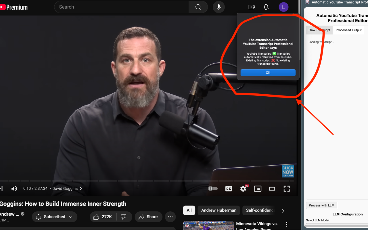 The Transcript Desk: YouTube Transcript Editor - 截图 4