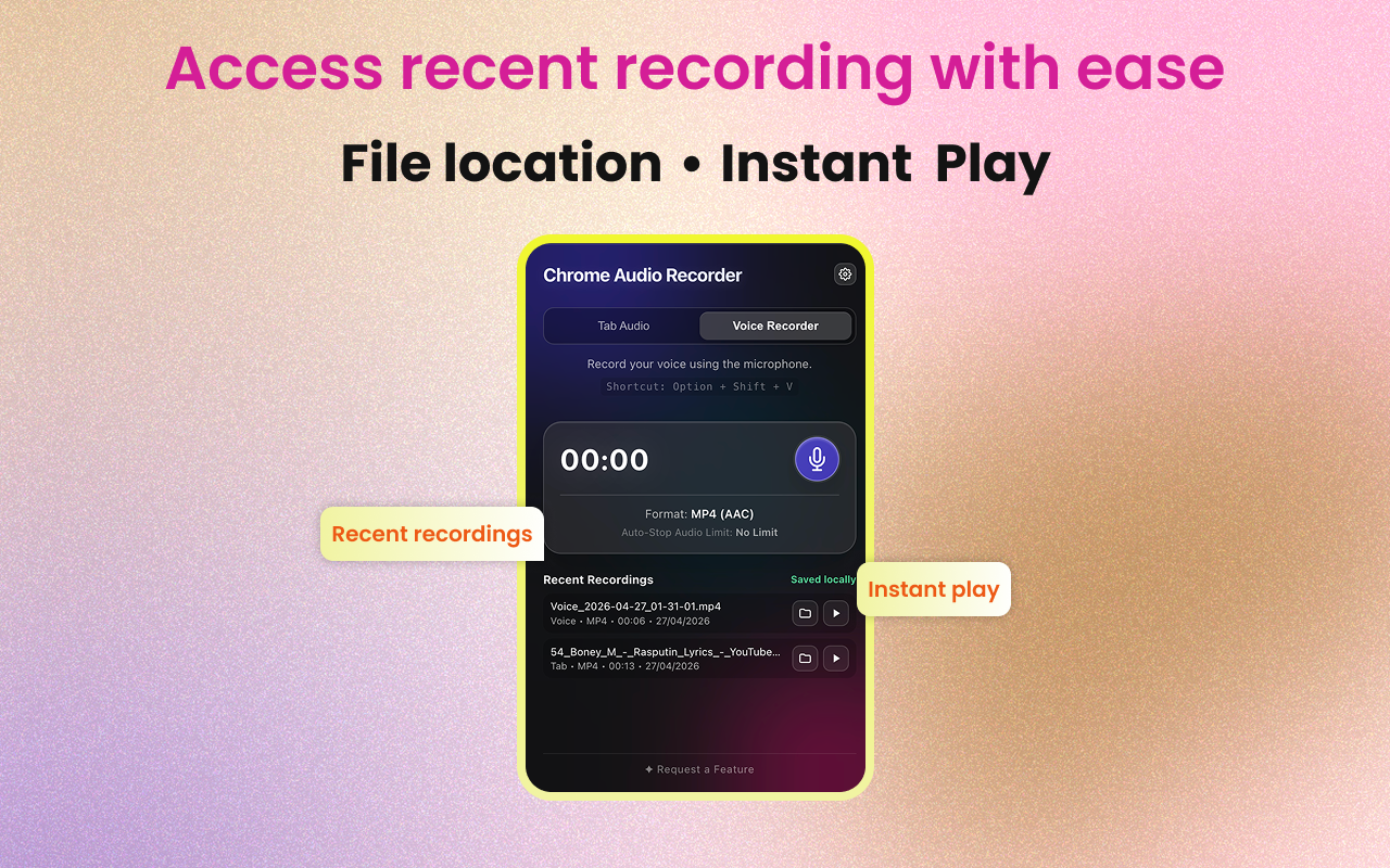 Chrome Audio Recorder - 截图 1
