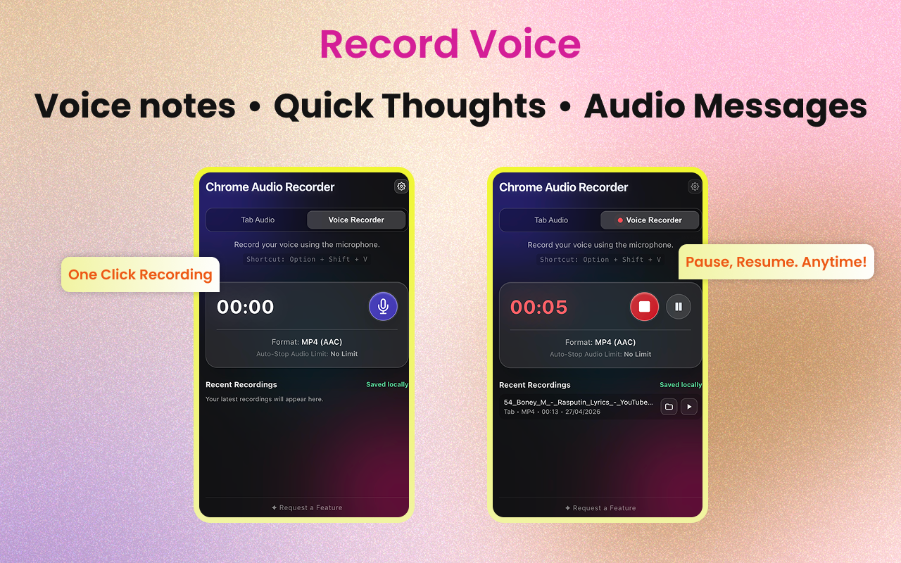 Chrome Audio Recorder - 截图 4