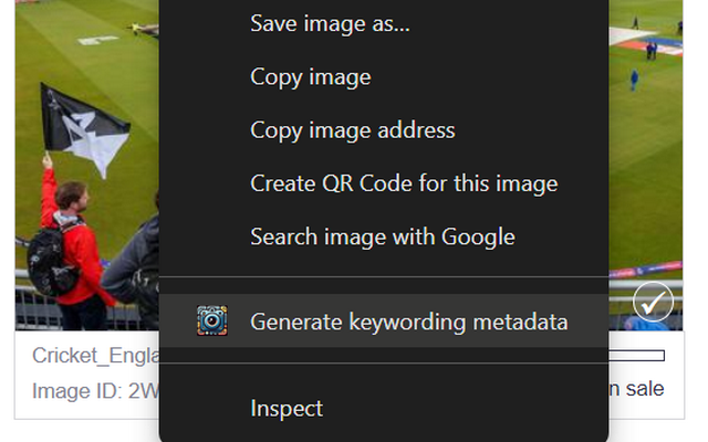 jKeywording | Stock photo keyword generator - 截图 2