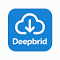 Deepbrid - Browser Extension