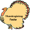 Thanksgiving & Turkey